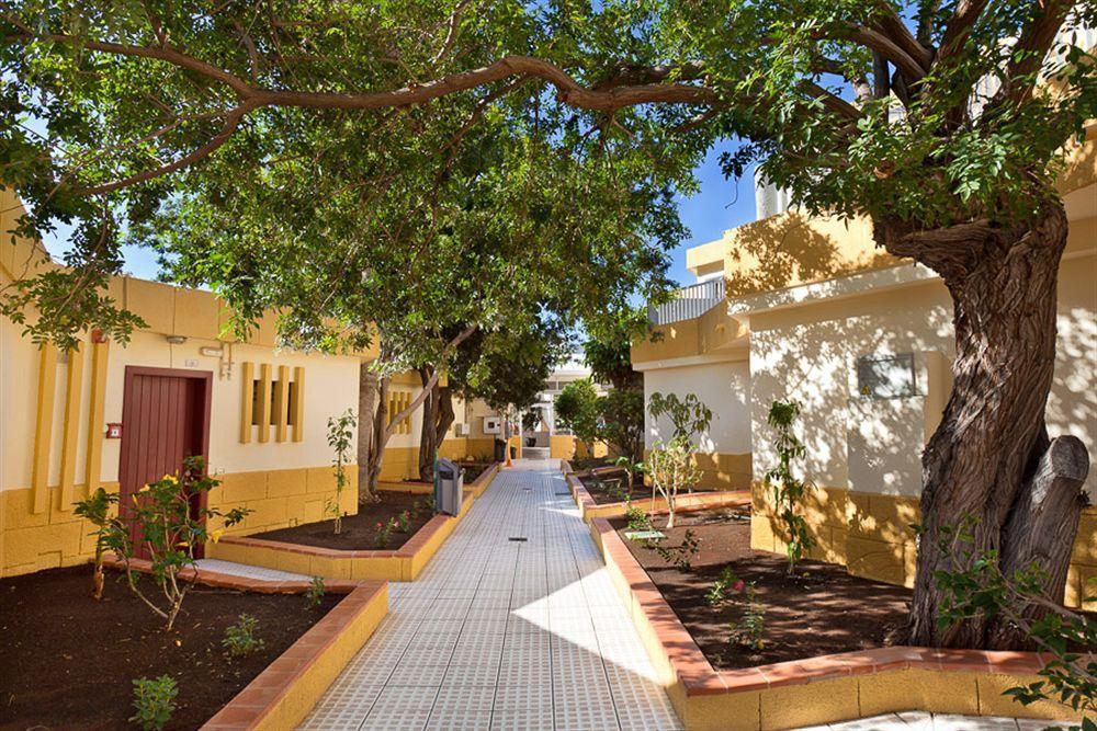 Apartamentos Plataneras Los Cristianos  Exterior photo